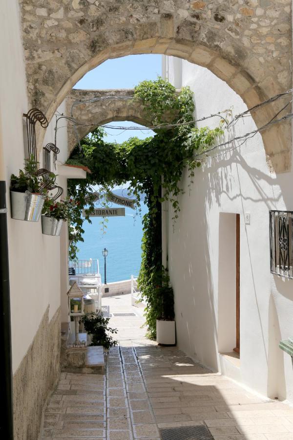 Piazzetta Petrone Apartments + Parking Vieste Kültér fotó
