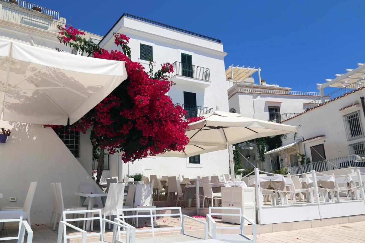 Piazzetta Petrone Apartments + Parking Vieste Kültér fotó